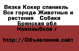 Вязка Кокер спаниель - Все города Животные и растения » Собаки   . Брянская обл.,Новозыбков г.